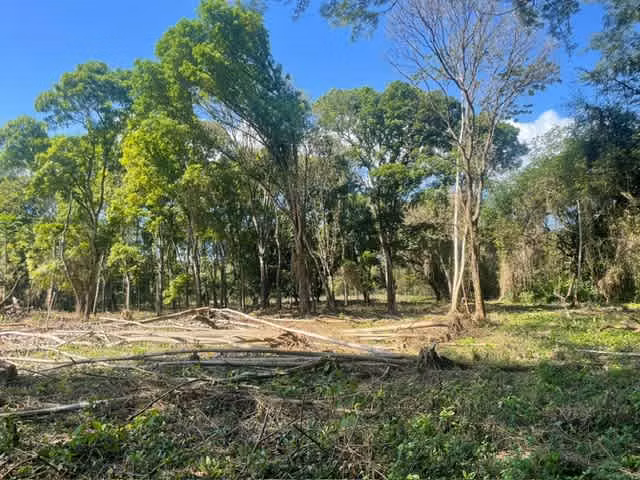 Se Vende Espectacular Propiedad en Chame – Ideal para Desarrollo - Imagen 2