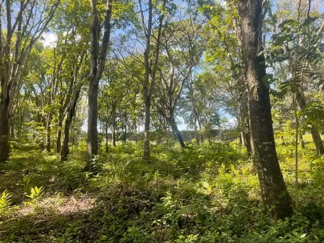 Se Vende Espectacular Propiedad en Chame – Ideal para Desarrollo - Imagen 10