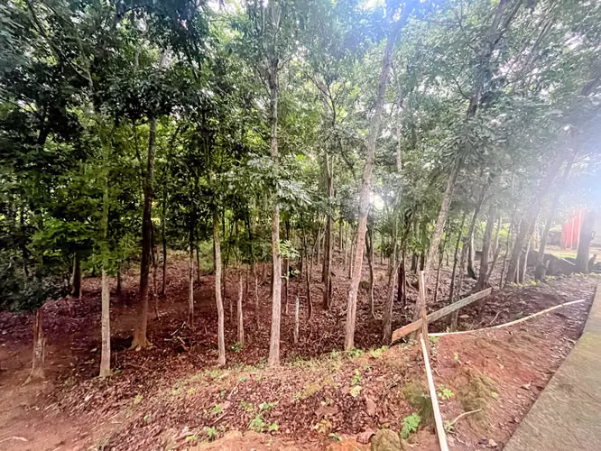Venta de Terreno con Oportunidad Única de Inversión y/o Recreacional