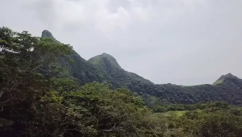 Venta de Terreno en la Laguna de San Carlos, 4,800m2