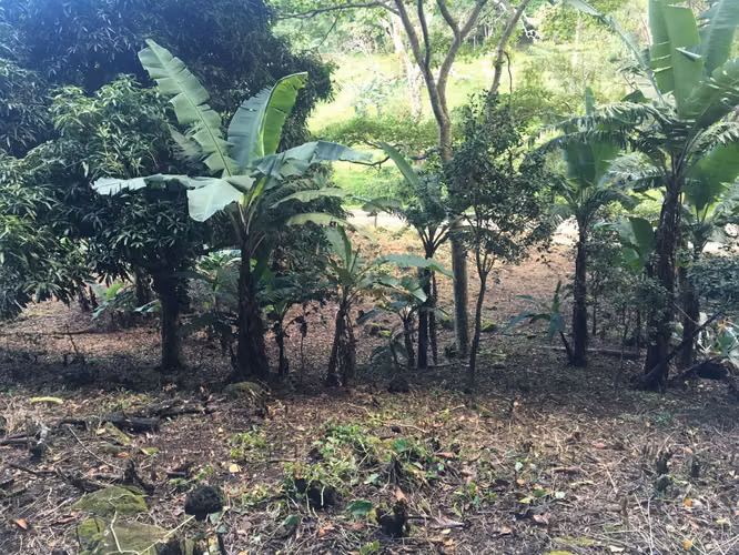 Venta de Terreno en la Laguna de San Carlos, 4,800m2