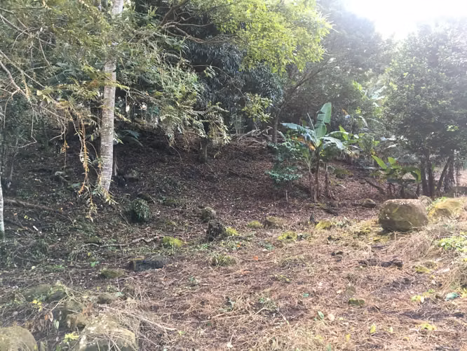 Venta de Terreno en la Laguna de San Carlos, 4,800m2
