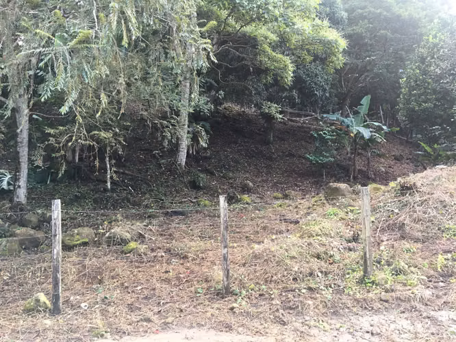 Venta de Terreno en la Laguna de San Carlos, 4,800m2