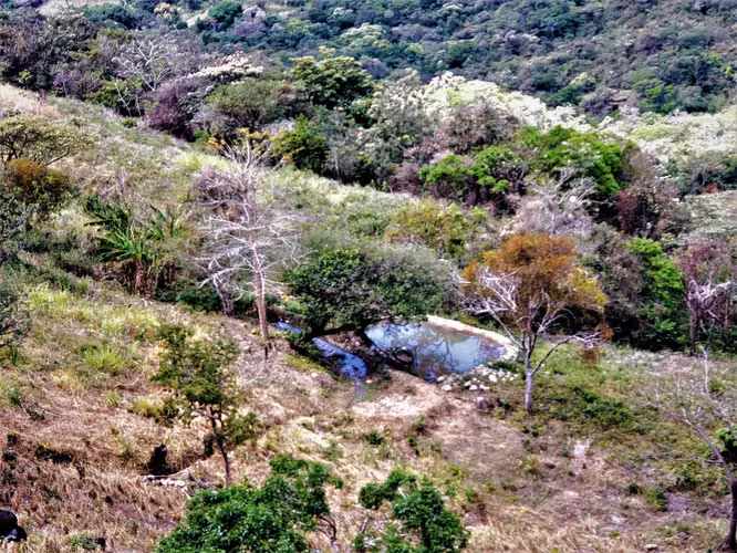 HERMOSA FINCA DE 12.3 HECTS Las Margaritas-El Valle - Imagen 15