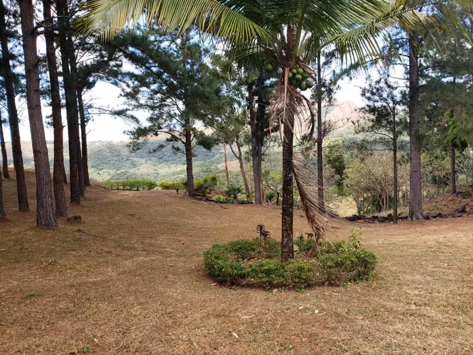 HERMOSA FINCA DE 12.3 HECTS Las Margaritas-El Valle
