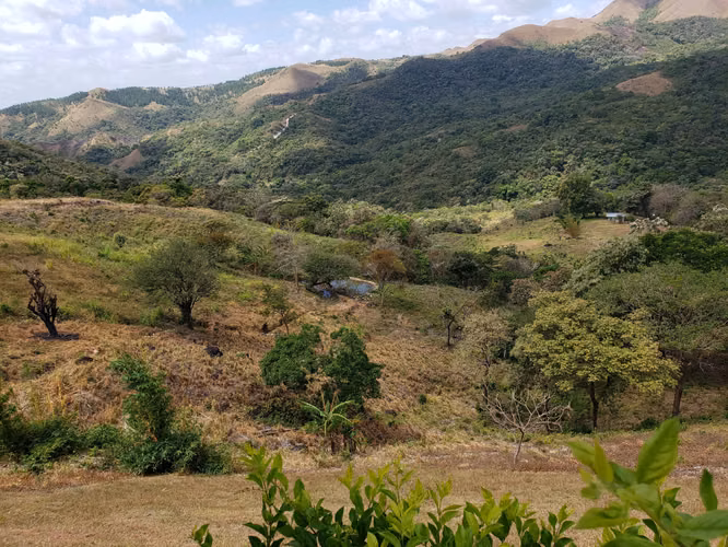 HERMOSA FINCA DE 12.3 HECTS Las Margaritas-El Valle - Imagen 14