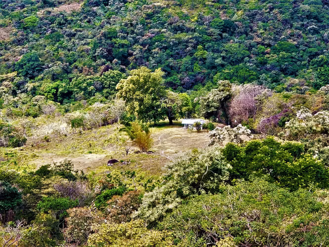 HERMOSA FINCA DE 12.3 HECTS Las Margaritas-El Valle - Imagen 16
