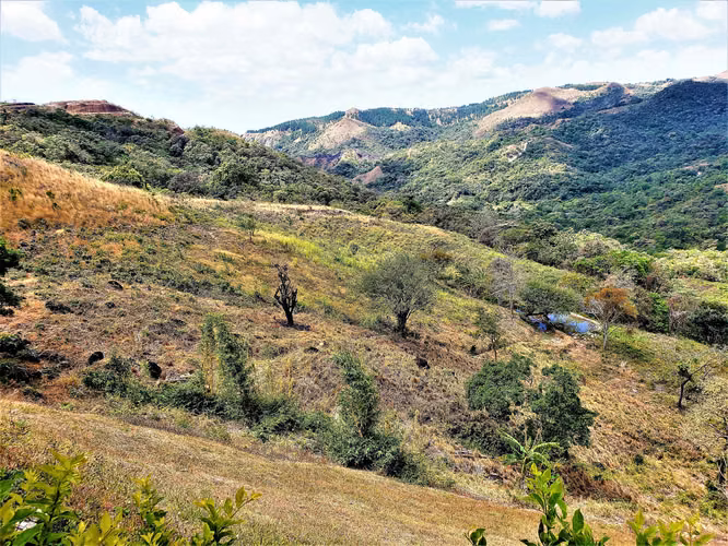 HERMOSA FINCA DE 12.3 HECTS Las Margaritas-El Valle - Imagen 13
