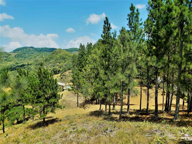 HERMOSA FINCA DE 12.3 HECTS Las Margaritas-El Valle - Imagen 6
