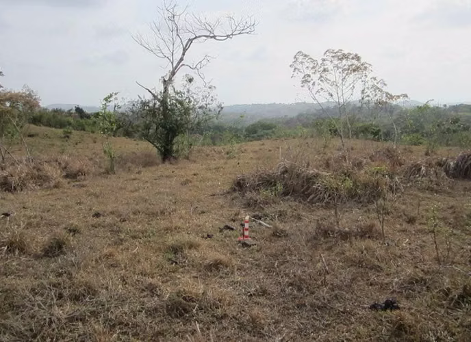 TERRENO EN CHORRERA IDEAL PARA PROYECTO