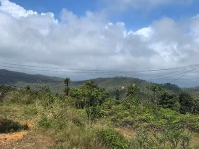 PACORA - SAN DIEGO TERRENO PARA LA VENTA 88,690.81 m²