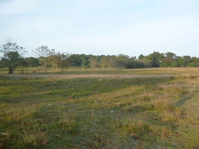 Pacora, Rio Chico  Terreno en Venta – 55,265 m² - Imagen 8