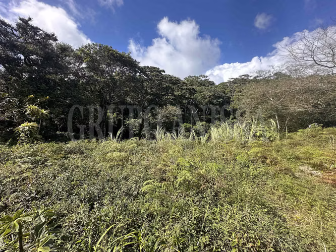 Oportunidad! Se vende terreno en Piamonte, Altos del Maria