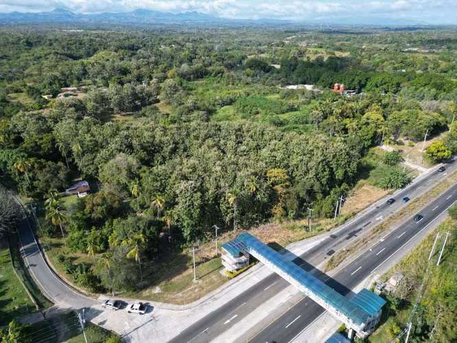 TERRENO EN VENTA | SAN CARLOS – EL HIGO