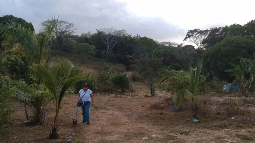 MTRE-RPP-902 SE VENDE 1 HECTÁREA EN LAS CUMBRES - Imagen 11