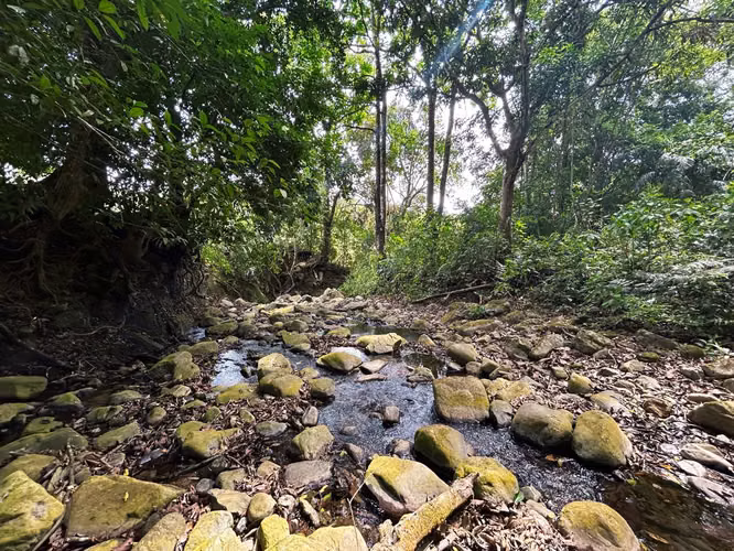 Se vende finca en Altos de Pacora