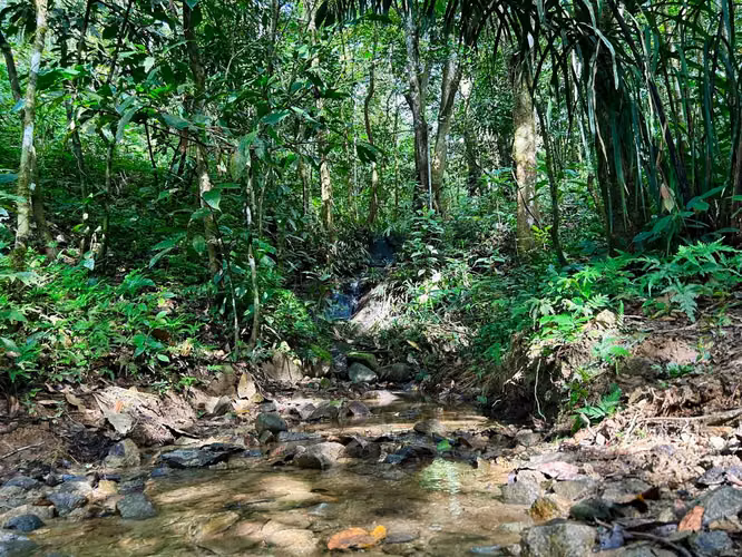 Se vende finca en Altos de Pacora