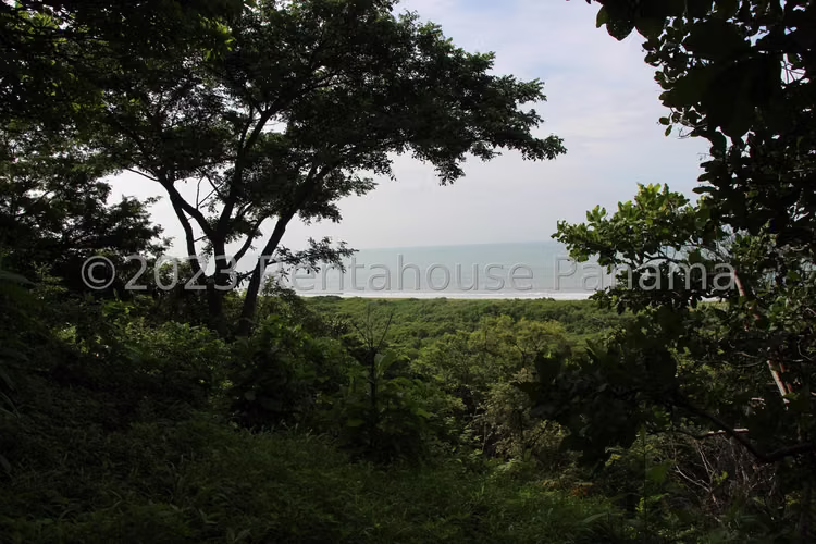 Venta de terreno de 62ha en Chame 25JSS9369 - Imagen 3