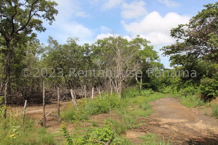 Venta de terreno de 62ha en Chame 25JSS9369 - Imagen 13