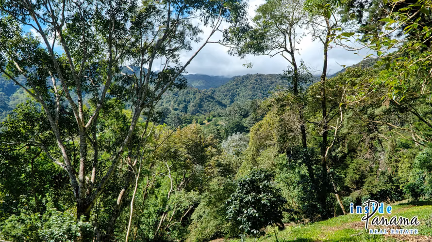 Lote en Venta en Palo Alto Boquete Panamá - Imagen 4