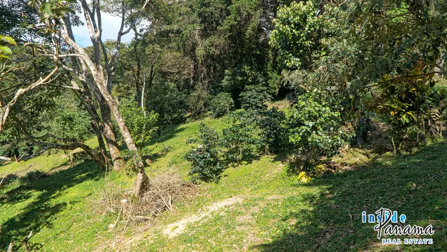 Lote en Venta en Palo Alto Boquete Panamá - Imagen 5