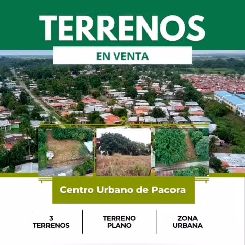 Terrenos en Venta en el Centro Urbano de Pacora