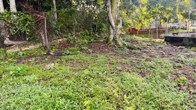 Llanos de Curundu terreno  comercial 660 mts 18 de frente   $328,000.00