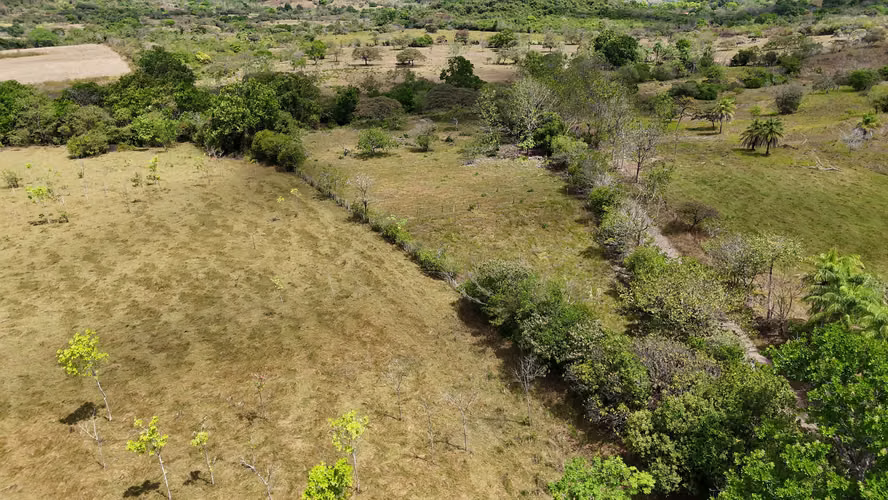 Se vende: 94.75 ha – segregaciones posibles – $8,000/ha – negociables – Montijo, Veraguas