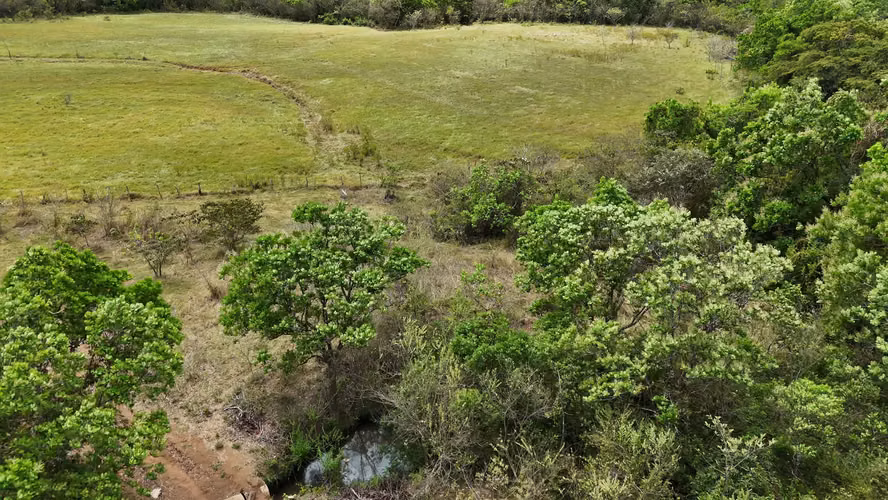 Se vende: 94.75 ha – segregaciones posibles – $8,000/ha – negociables – Montijo, Veraguas