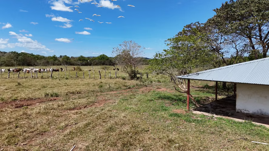 Se vende: 94.75 ha – segregaciones posibles – $8,000/ha – negociables – Montijo, Veraguas