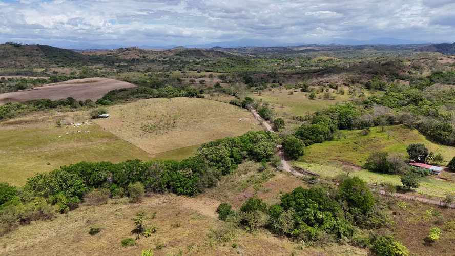 Se vende: 94.75 ha – segregaciones posibles – $8,000/ha – negociables – Montijo, Veraguas