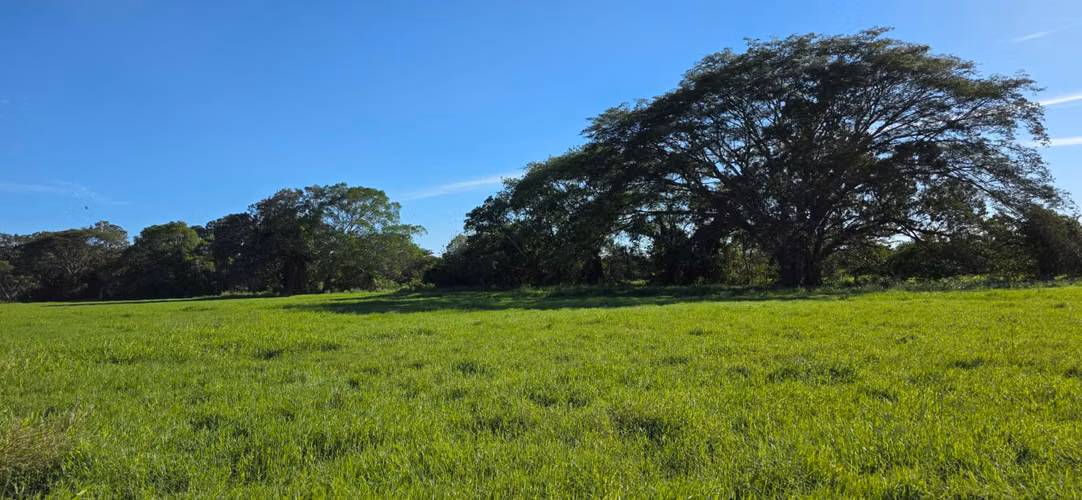 Venta de Finca en Aguadulce, El Roble, 73 hectáreas