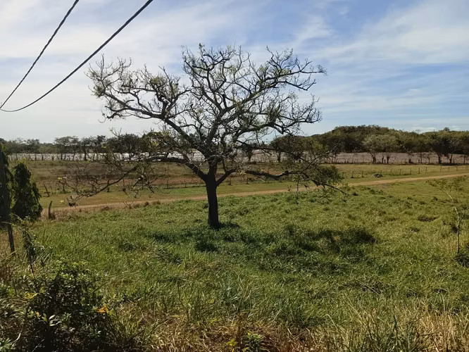 Venta de Finca en Aguadulce, El Roble, 73 hectáreas
