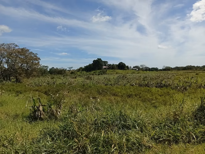 Venta de Finca en Aguadulce, El Roble, 73 hectáreas