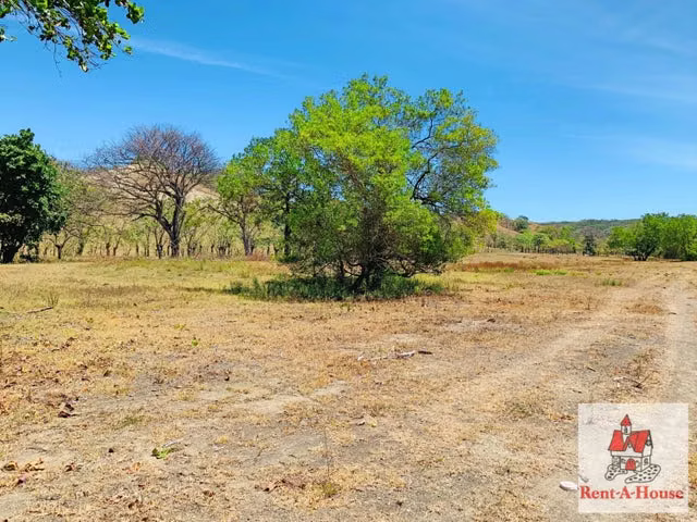 Venta de Terreno con 20000m2 en Los Santos  22-3850SR