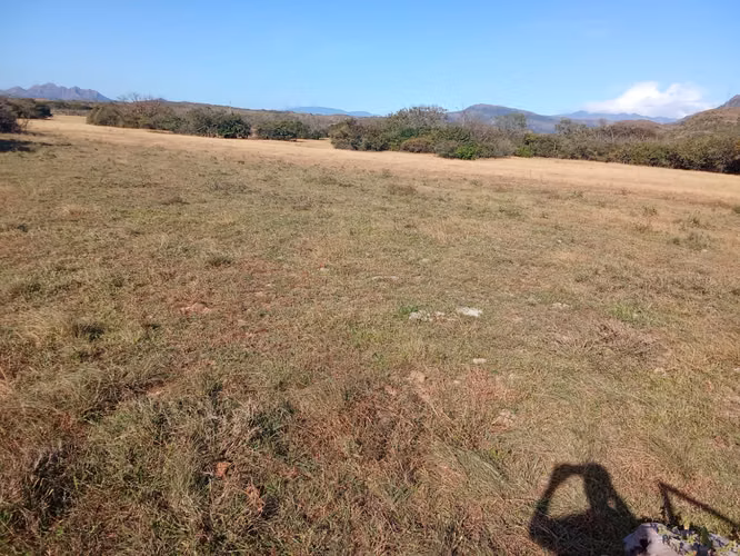 Venta de Finca en Coclé, El Olivo, El Caño, 100 hectáreas