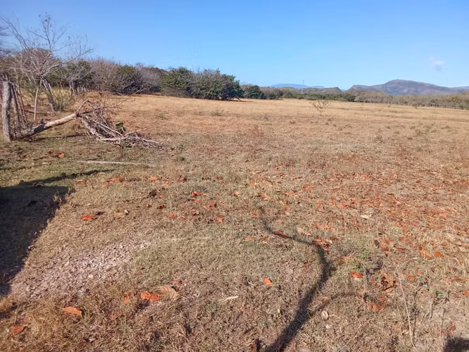 Venta de Finca en Coclé, El Olivo, El Caño, 100 hectáreas