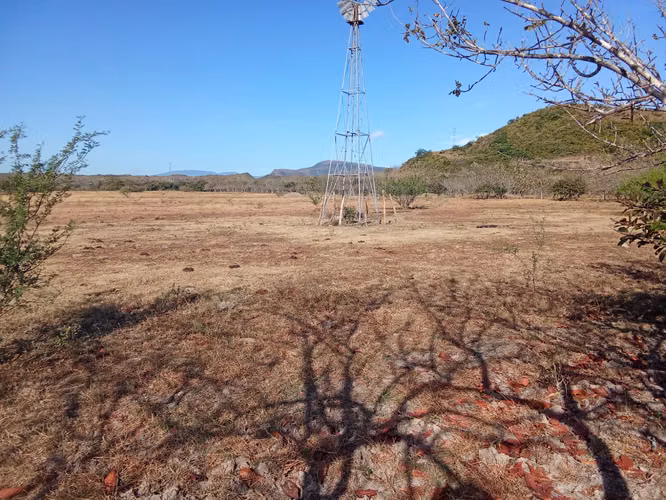 Venta de Finca en Coclé, El Olivo, El Caño, 100 hectáreas