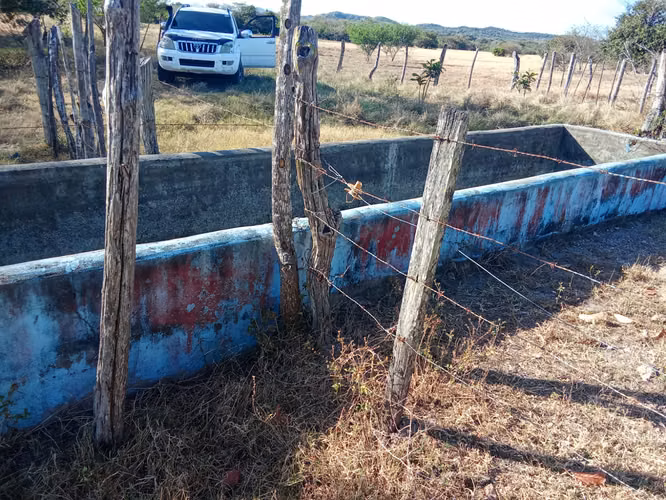 Venta de Finca en Coclé, El Olivo, El Caño, 100 hectáreas