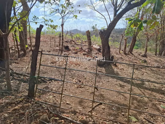 Se Vende Finca en Santa Marta, Las Tablas