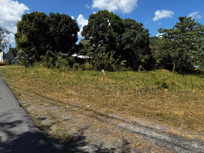VENDO  TERRENO PLANO EN GORGONA - Imagen 6