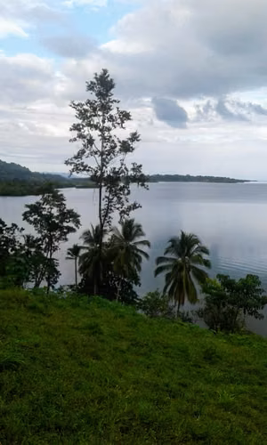 TERRENO PARA INVERSION EN VENTA - BOCAS DEL TORO, ALMIRANTE BV