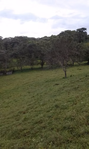 TERRENO PARA INVERSION EN VENTA - BOCAS DEL TORO, ALMIRANTE BV