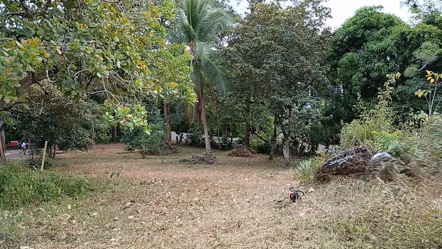 Venta de Terreno de 6800 mts2, Loma Bonita San Martín