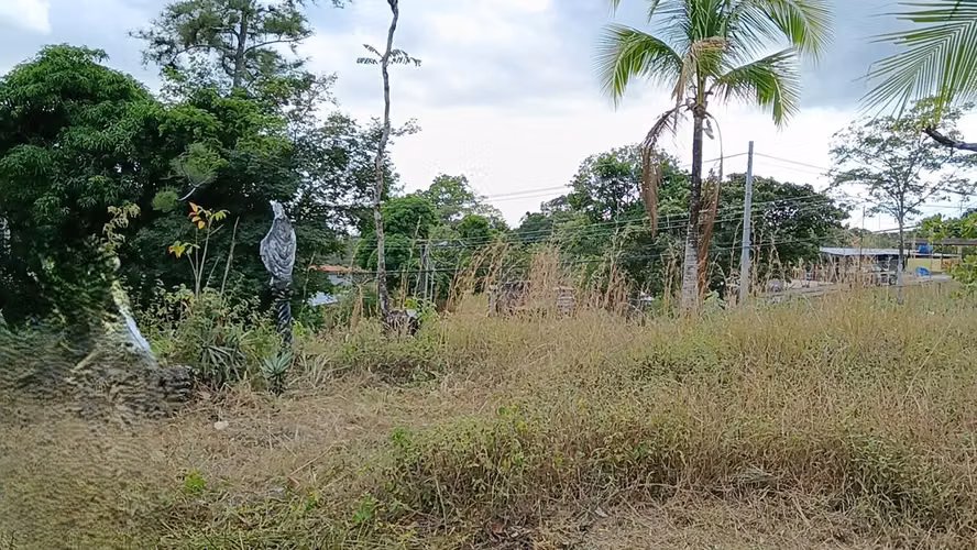 Venta de Terreno de 6800 mts2, Loma Bonita San Martín