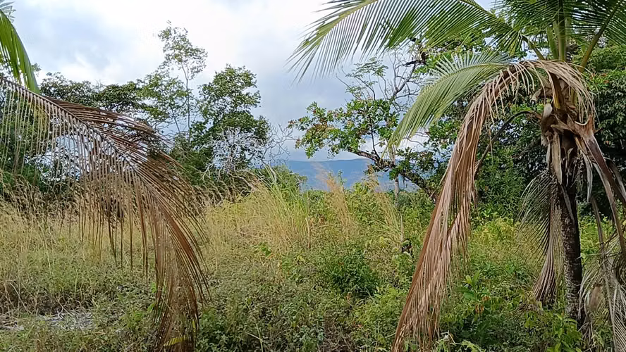 Venta de Terreno de 6800 mts2, Loma Bonita San Martín