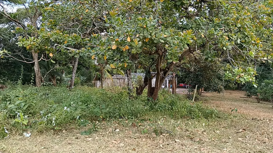 Venta de Terreno de 6800 mts2, Loma Bonita San Martín