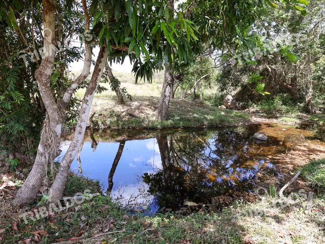 Venta de Granja con mejoras en San Carlos