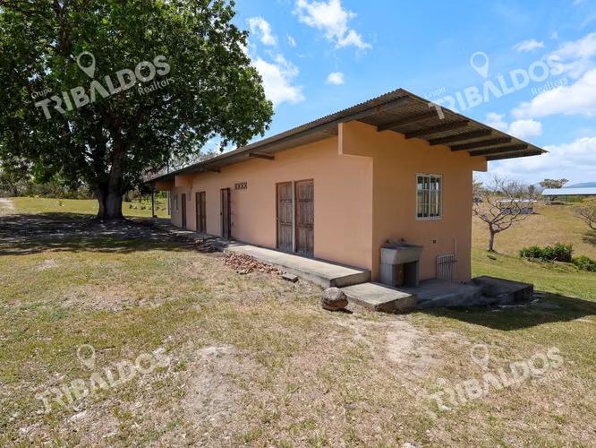 Farm for sale with improvements in San Carlos