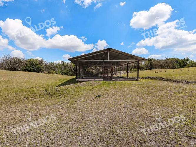 Venta de Granja con mejoras en San Carlos